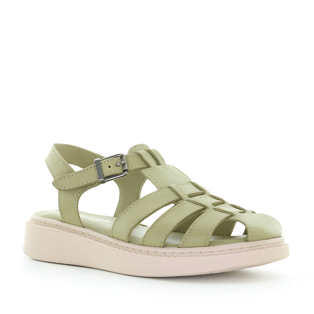 Cabello Zia Pistachio