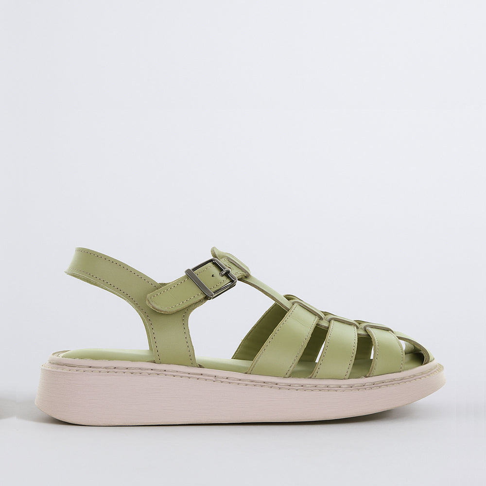 Cabello Zia Pistachio